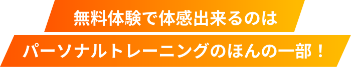 無料体験で体感できるのはパーソナルトレーニングのほんの一部！